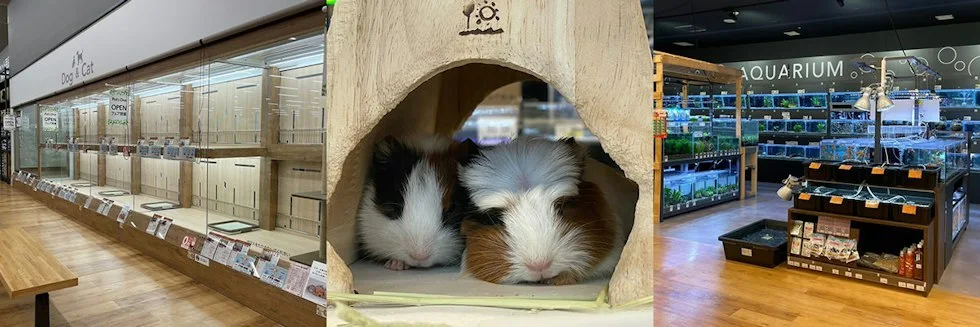 カインズ 名古屋大高インター店 ドッグラン:公式サイト掲載写真