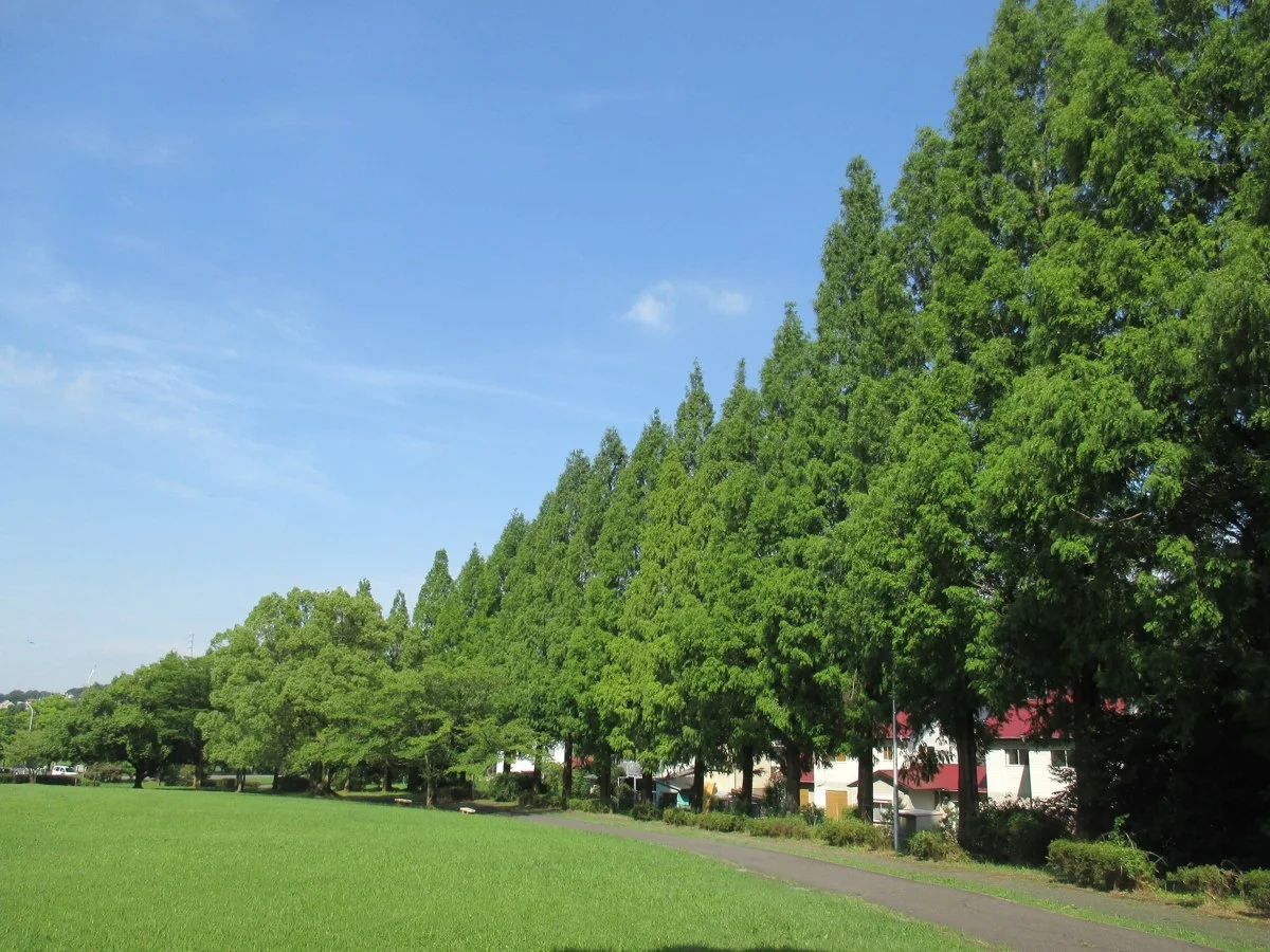 小幡緑地:公式サイト掲載写真