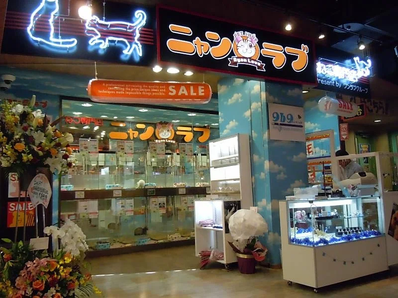 ワンラブ ニャンラブ名古屋本店(猫専門店):ニャンラブ名古屋本店(猫専門店)