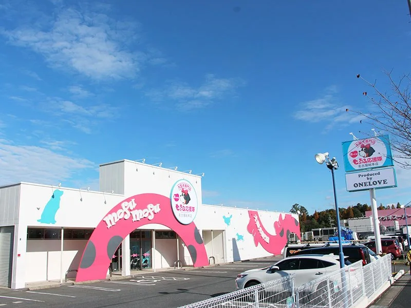 ワンラブ おっきなもふもふ名古屋総本店:おっきなもふもふ名古屋総本店