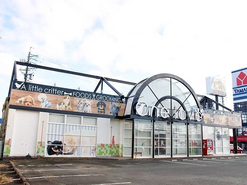 ワンラブ 豊橋豊川線通り店:豊橋豊川線通り店