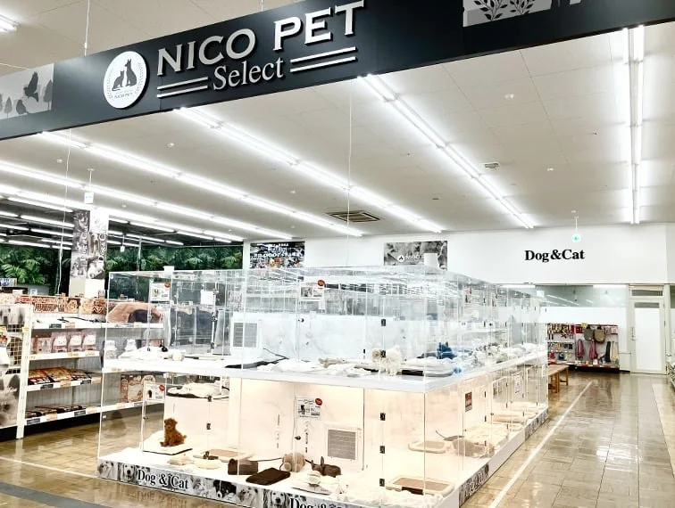 ペッツファースト 長久手店:公式サイト掲載写真