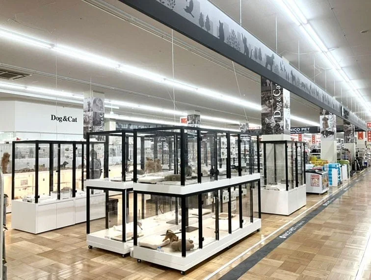 ペッツファースト 名古屋南店:公式サイト掲載写真