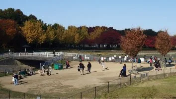 庄内緑地 ドッグラン:公式サイト掲載写真