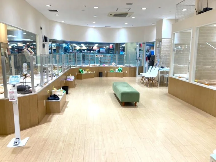 ペッツファースト 秋田店：公式サイト掲載写真
