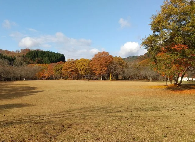 七戸町 森林公園キャンプ場:フリーサイト