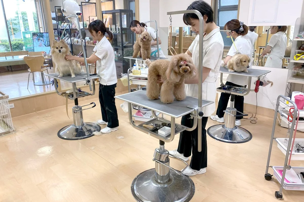 トリミングサロン アラモード 本店:公式サイト掲載写真