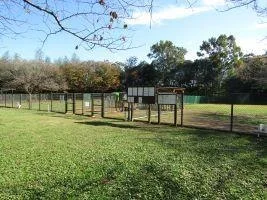 千葉県立青葉の森公園 ドッグラン：ドッグラン