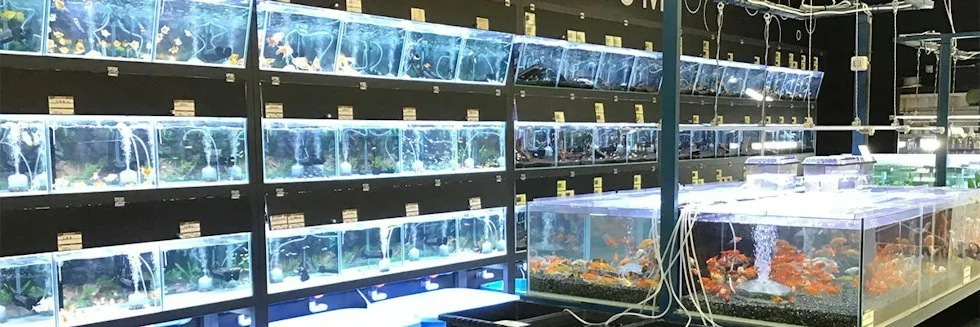 カインズ 館山店 ドッグラン:公式サイト掲載写真