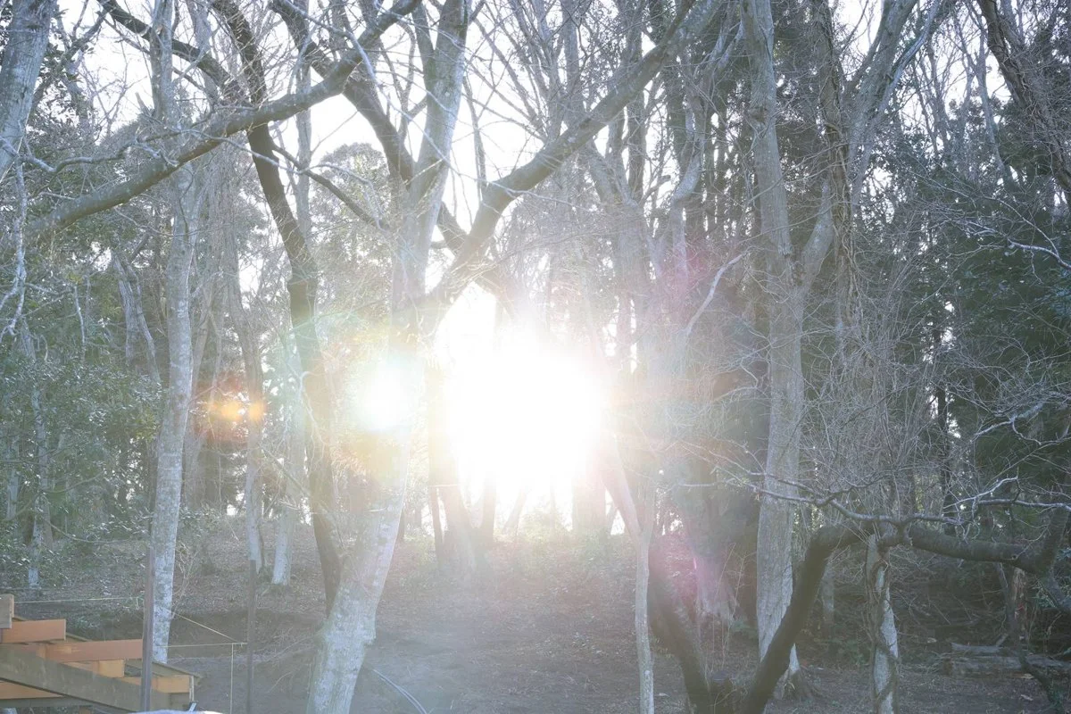 みんなの里山キャンプ場:公式サイト掲載写真
