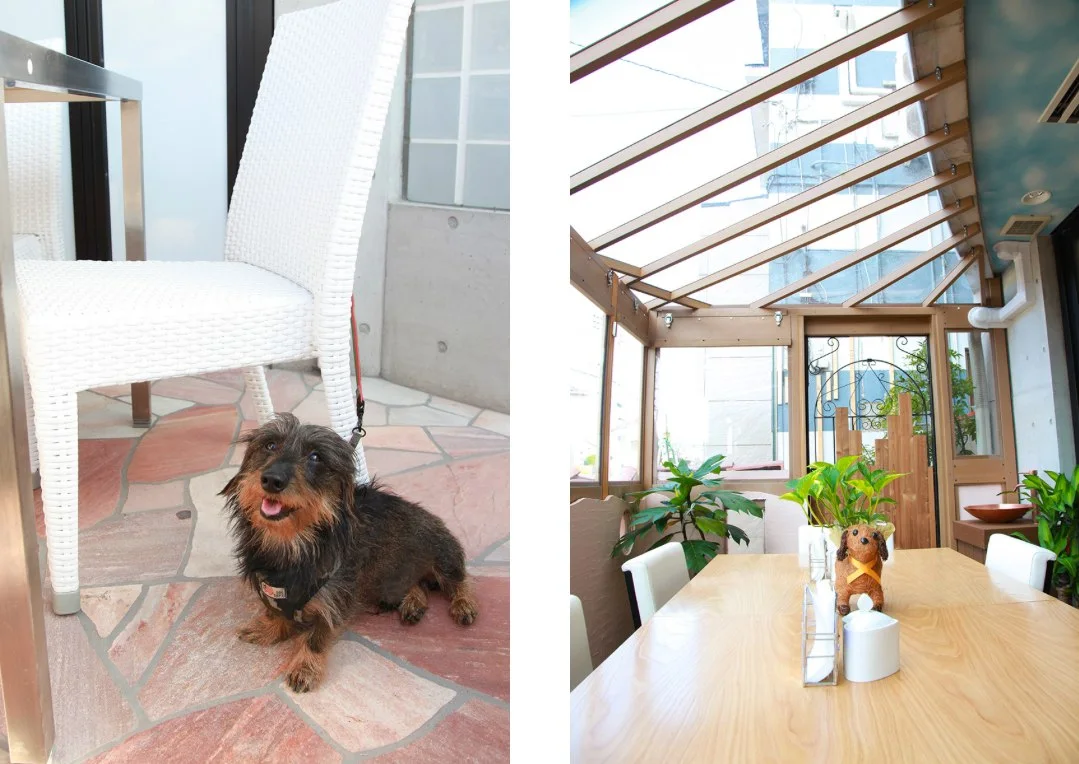 Cosmic Parasol Cafe：テラスは、愛犬とゆっくり過ごせるドッグカフェです。