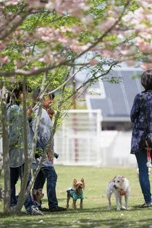 ドッグガーデンユーカリ:ドッグランを楽しむ人たち