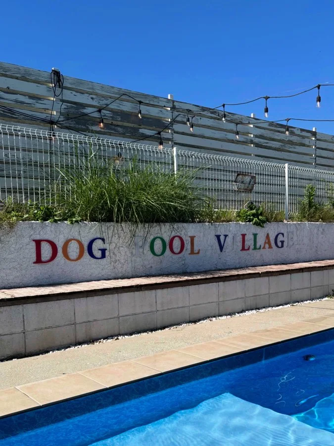 Dog Pool Village 富津海岸:公式サイト掲載写真