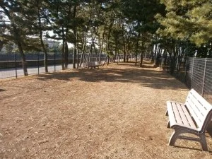 市川市 塩浜ドッグラン:塩浜ドッグラン写真1