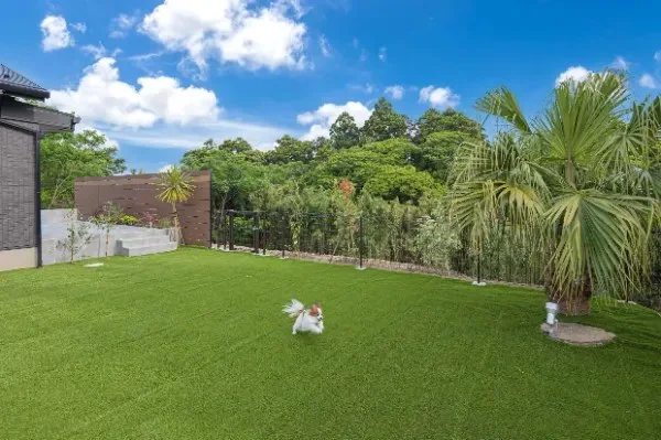 Private Villa AZUL 千倉:Private Villa AZULの専有のプライベート・ドッグランではノーリードでお楽しみいただけます。