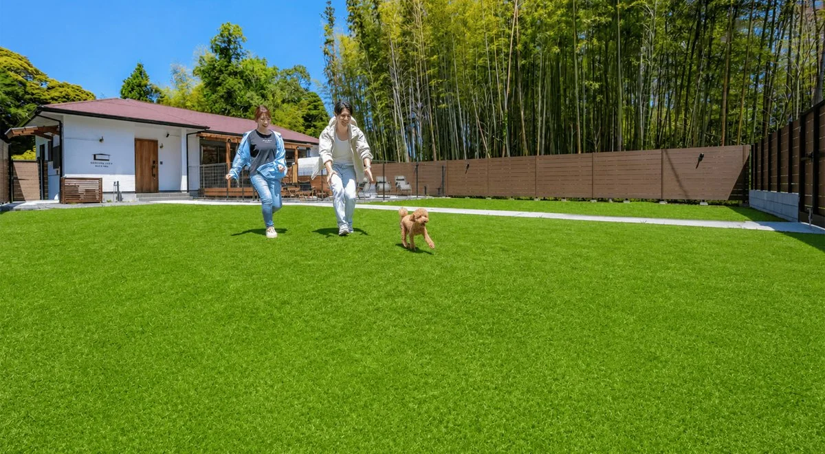 SHELTER. いすみ with dogs:いすみ