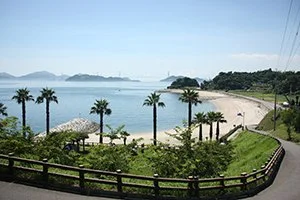 大角海浜公園キャンプ場：大角海浜公園の写真
