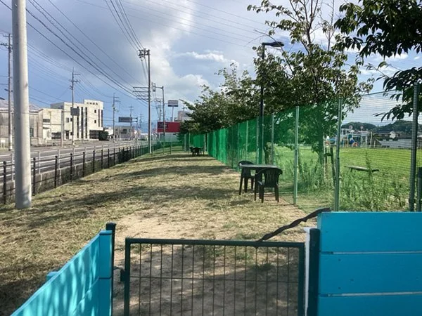 大新田公園ドッグラン：大新田公園の写真