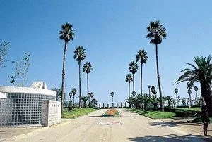 桜井海浜ふれあい広場：桜井海浜ふれあい広場の写真