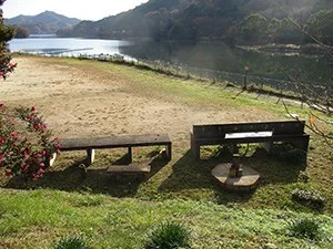 龍岡キャンプ場：龍岡キャンプ場の写真