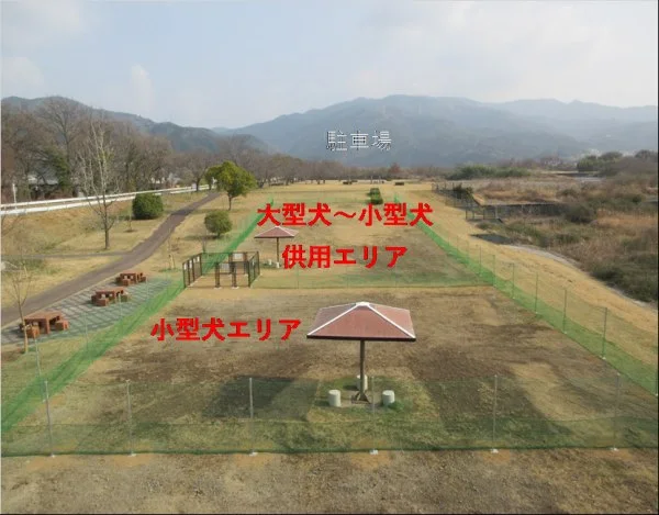 樋口公園ドッグラン：樋口公園ドッグラン