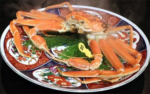 越前 浜茄子:福井・温泉民宿|浜茄子 - はまなす -|越前がに・活魚料理・お食事・越前海岸・ペット同伴