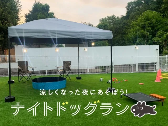 ホテル WAN STORY:涼しくなった夜に遊ぼう!ナイトドッグラン開催中