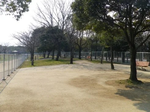 洞北緑地ドッグラン：洞北緑地ドッグランの写真