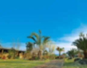 ファームリゾート糸島(FARM CAFE COFFEE):公式サイト掲載写真
