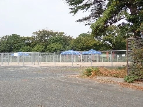 日明臨海公園ドッグラン：日明臨海公園ドッグランの写真