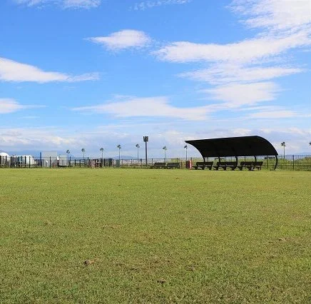 海の中道海浜公園 ドッグラン：公式サイト掲載写真