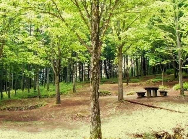 飛騨市森林公園キャンプ場:公式サイト掲載写真