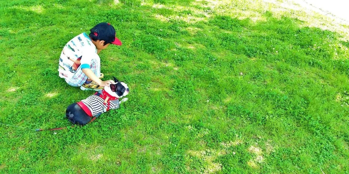 八王子農園 ドッグラン:公式サイト掲載写真