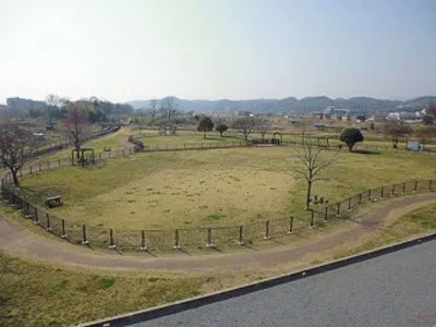 城南大橋ドッグラン:城南大橋ドッグラン全景