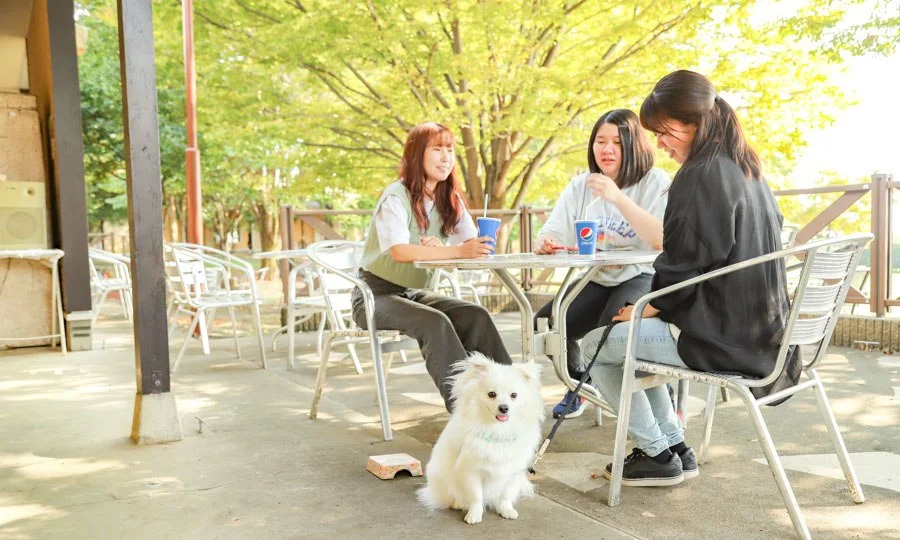 ドッグカフェ「&ME」(世界の名犬牧場):公式サイト掲載写真