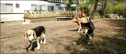 ペンション ブロードウェイ:公式サイト掲載写真
