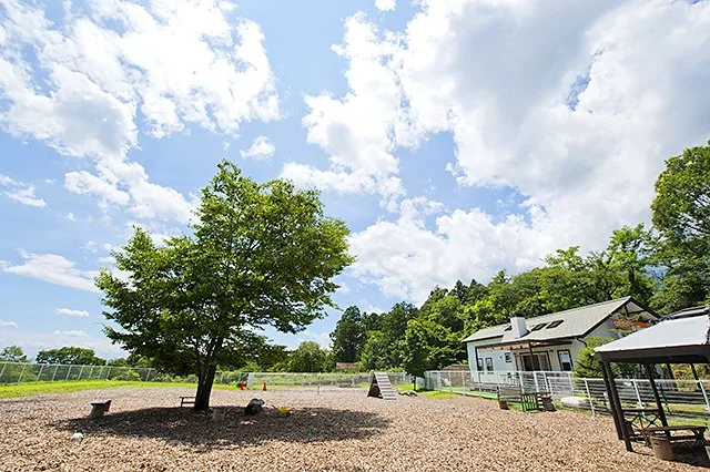 水沢ドッグランWANport/cafe sun's:榛名山麓の豊かな緑に囲まれたドッグラン