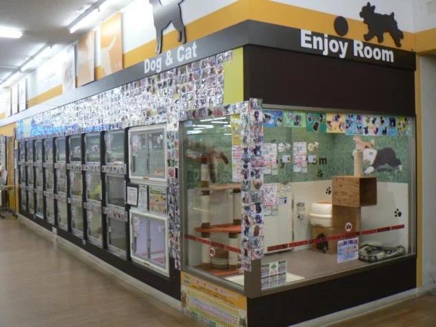 ペットワールド アミーゴ 多治米店:公式サイト掲載写真