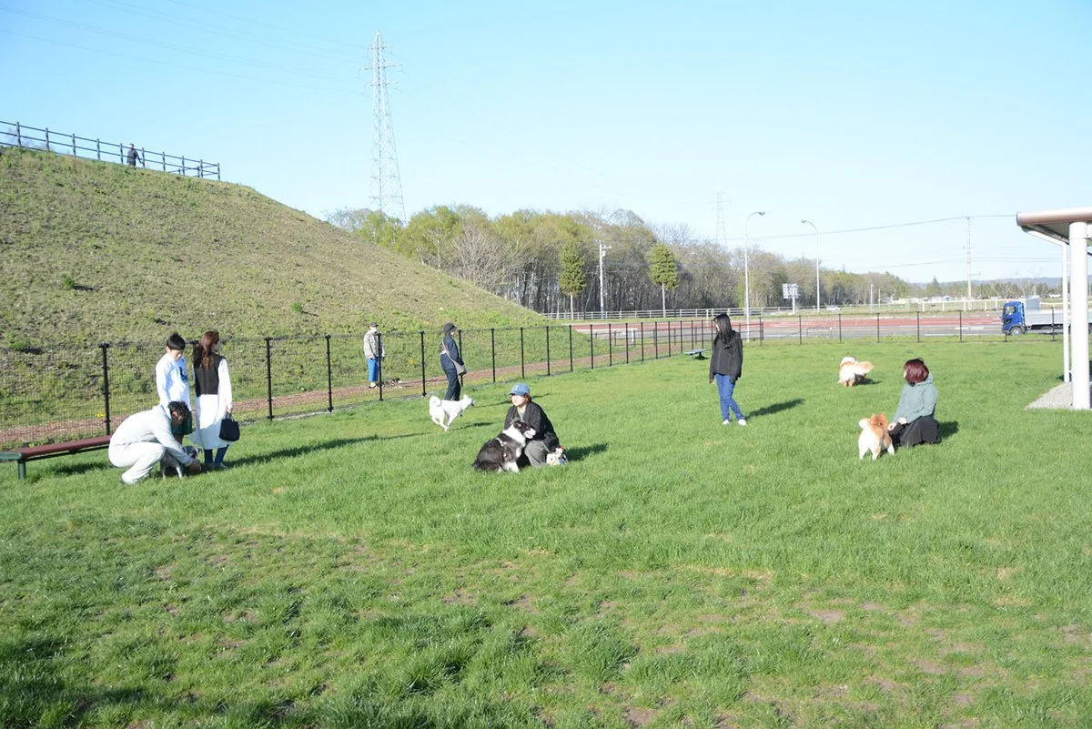 なつぞら公園ドッグラン:公式サイト掲載写真