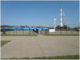 北光町未来の森公園ドッグラン:ドッグラン