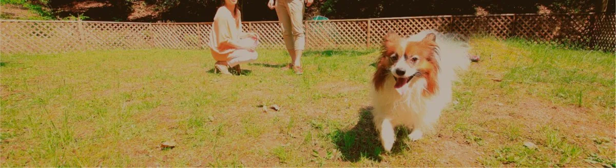 リロステイvilla城崎 ザ・コンドミニアム(ワンちゃん専用ルーム):公式サイト掲載写真