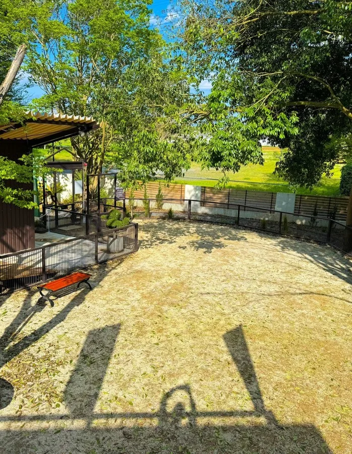 森のカフェ(Thomas Forest Park):公式サイト掲載写真