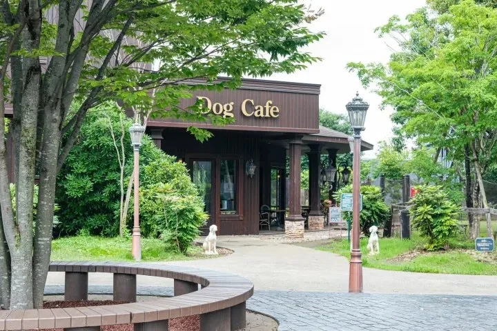 ペニーレイン つくば店(ドッグカフェ):つくば店