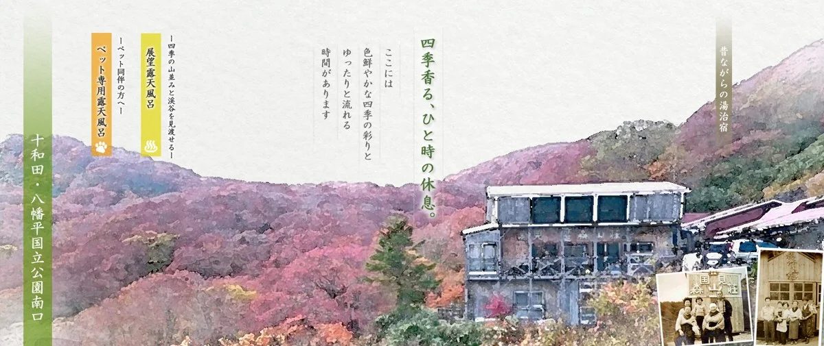 国見温泉 森山荘:国見温泉 森山荘