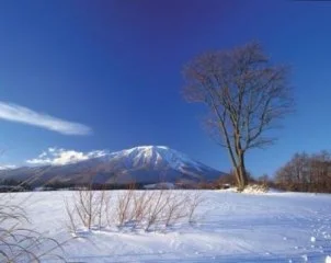 ペットの里キャンプ場:公式サイト掲載写真