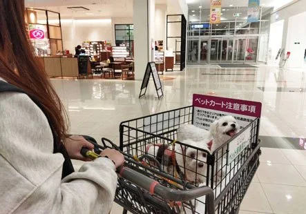 イオンモール高松:ペット同伴可能エリア