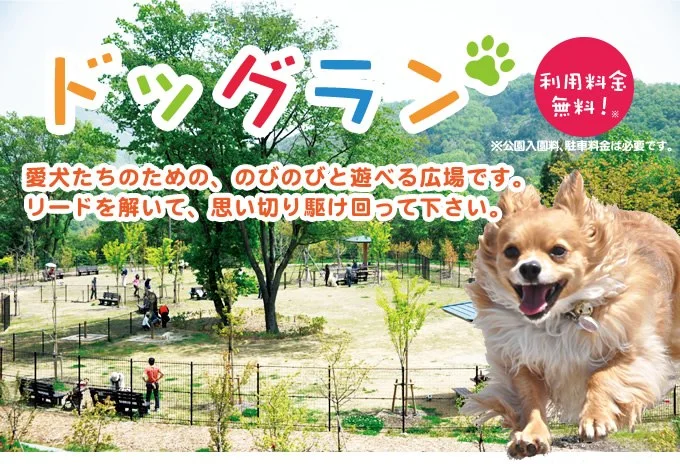 国営讃岐まんのう公園 ドッグラン:ドッグラン/愛犬たちのための、のびのびと遊べる広場です。リードを解いて、思い切り駆け回って下さい。