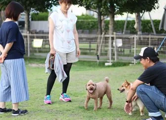 ドッグリゾートワンズクラブ:公式サイト掲載写真