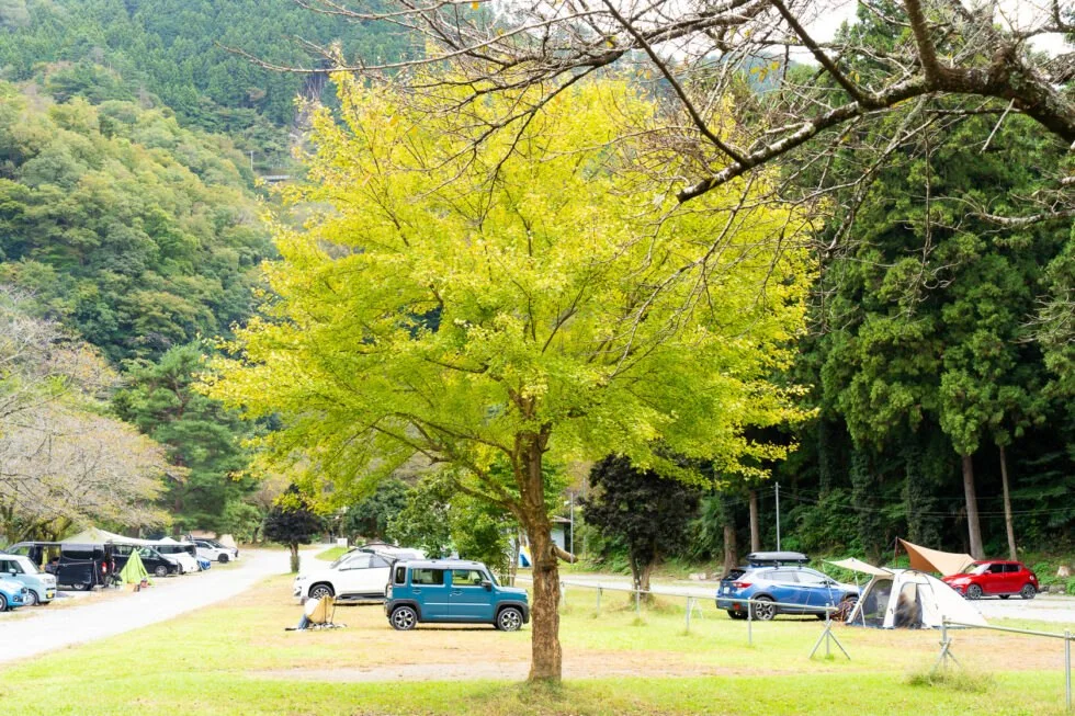 青根キャンプ場:公式サイト掲載写真