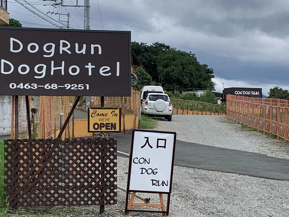 CON DOG RUN(コン・ドッグラン):公式サイト掲載写真